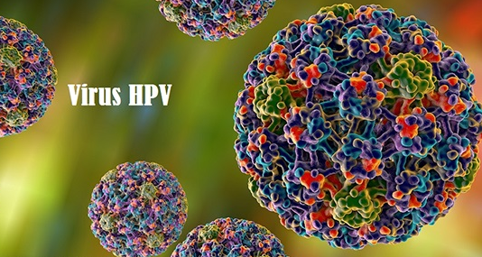 Virus HPV là gì? Dấu hiệu, nguyên nhân và cách phòng ngừa hiệu quả 1 virus hpv