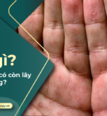 U=U là gì?